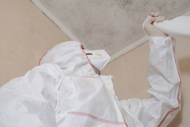 Best DIY Mold Remediation Support Services in Kronenwetter, WI